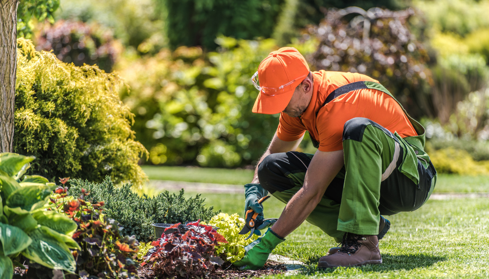 Paysagiste en Sarthe : comment choisir le bon professionnel pour votre jardin ?